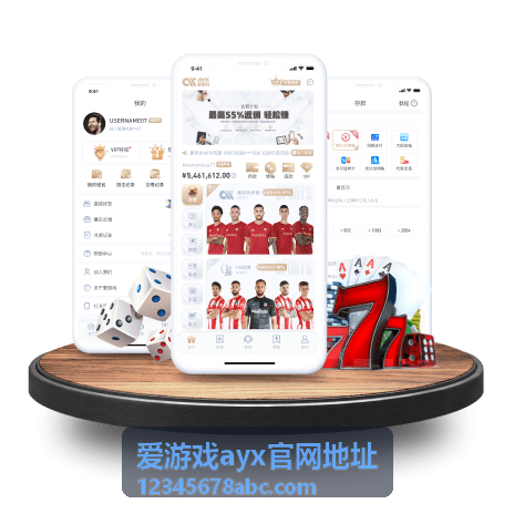 爱游戏ayx官网地址入口核验示意图