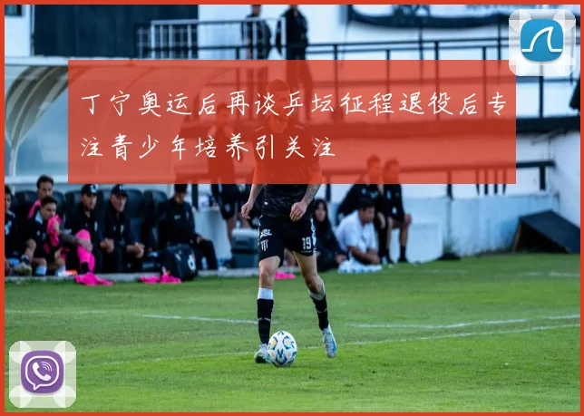 丁宁奥运后再谈乒坛征程退役后专注青少年培养引关注