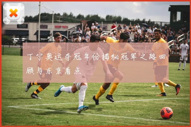 丁宁奥运夺冠年份揭秘冠军之路回顾与东京看点