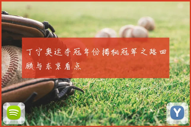 丁宁奥运夺冠年份揭秘冠军之路回顾与东京看点