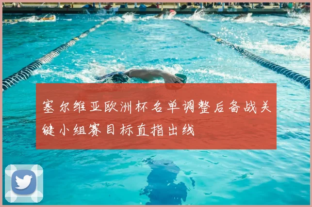 塞尔维亚欧洲杯名单调整后备战关键小组赛目标直指出线