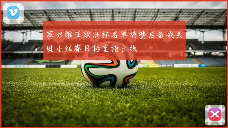 塞尔维亚欧洲杯名单调整后备战关键小组赛目标直指出线