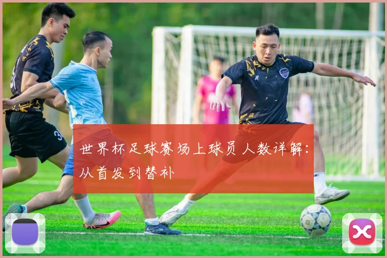 世界杯足球赛场上球员人数详解：从首发到替补