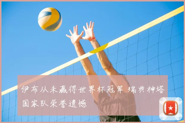 伊布从未赢得世界杯冠军 瑞典神塔国家队荣誉遗憾