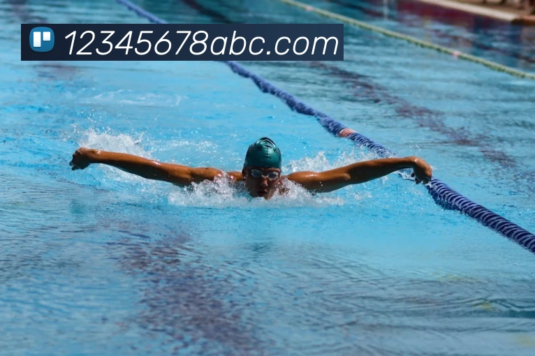 完美体育官网平台生态图