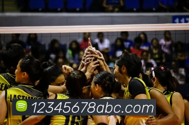 完美体育官网APP 封面图